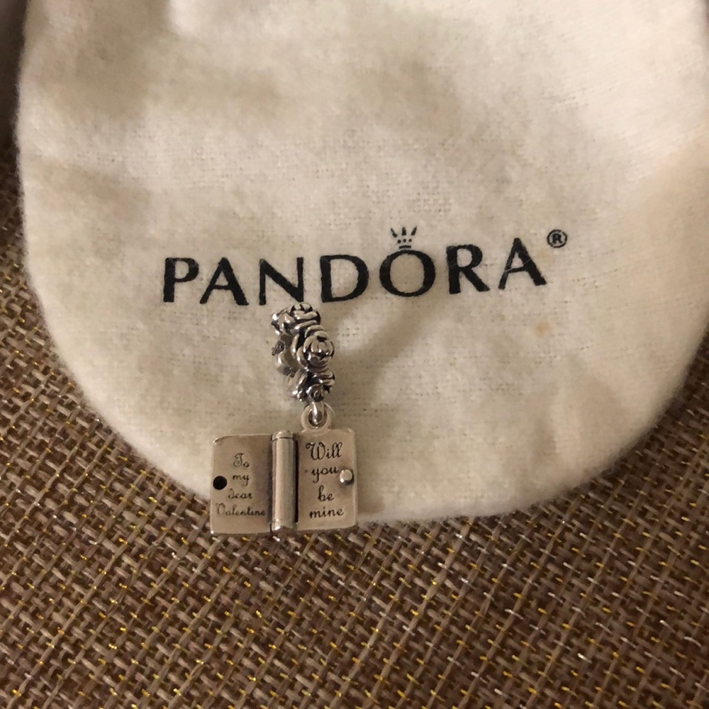 Pandora charm bracelet valentine book